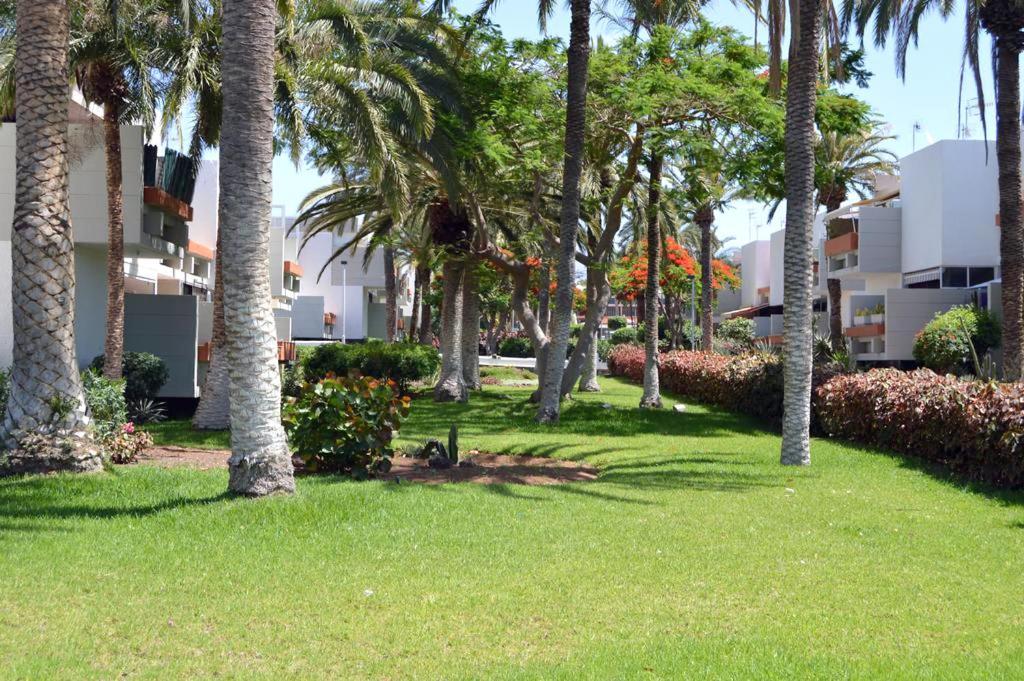 Azulete Apartment Arona  Bagian luar foto